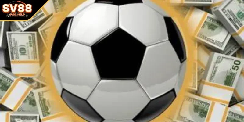 Đa dạng các thể loại đặt cho tân thủ